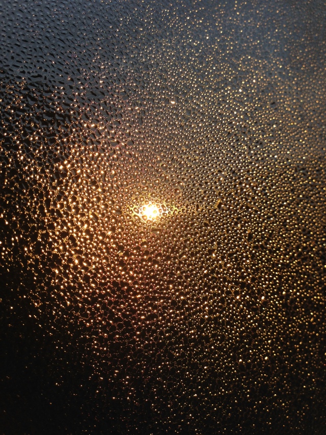 Artsy shot I took of the sunrise on our condensation-filled bedroom window this morning 